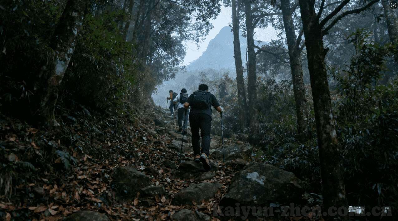 比利时以前世界杯进球-比利时足球,世界杯进球的光辉篇章